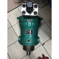 variable piston pump